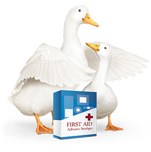 Aflac Duck with Adhesive Bandage Box