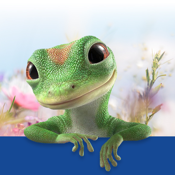 Cute Gecko Image